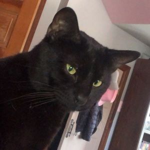 Meet your Posher, Adrianna